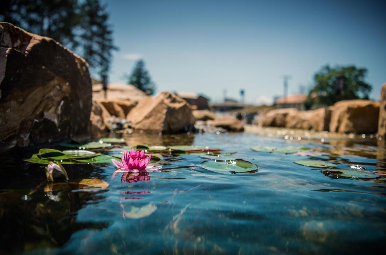 Natura Treescape Resort Wisconsin Dells Luaran gambar